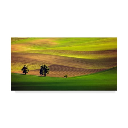 Trademark Fine Art 'Moravia 1' Canvas Art by Maciej Duczynski