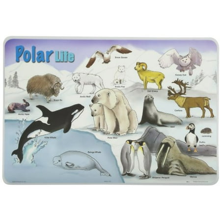 Painless Learning Polar Life Placemat