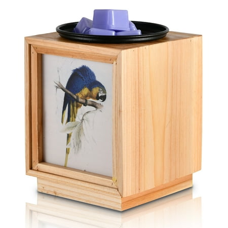 Scented Wax Melter Warm Scented Candle Night Light Design Home Accessories
Scented Wax Melter Warm Scented Candle Night Light Design Home Accessories