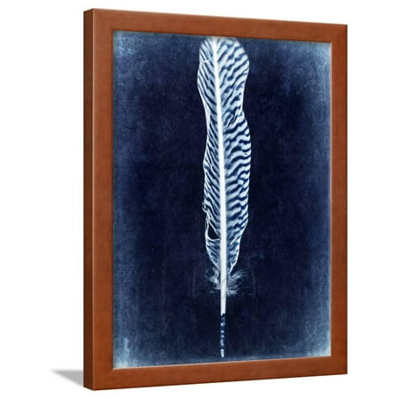 Inverted Feather V Framed Print Wall Art By Honey Malek