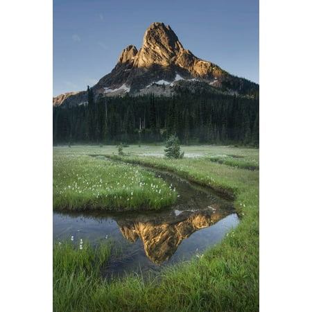 Liberty Bell Mountain reflected in waters of State Creek, Washington State Pass meadows, North Cascades, Washington State Poster Print by Alan Majchrowicz