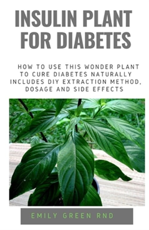 Insulin Plant For Diabetes How To Use This Wonder Plant To Cure