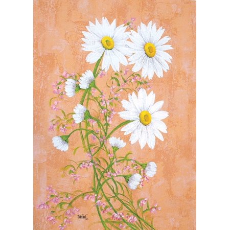 Daisies I Poster Print by Jaroslava Divisova