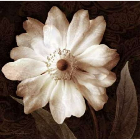 Paisley Blossom II Poster Print by Keith Mallett