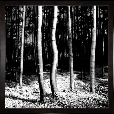 Bamboo Garden Zig Zag Diff-HARTRE54375 Print 15"x15" by Harold Silverman - Trees & Old Fences in a Affordable Black Medium