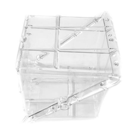 Home Reusable Watermelon Growing Heart Square Transparent Forming Shaping
Home Reusable Watermelon Growing Heart Square Transparent Forming Shaping