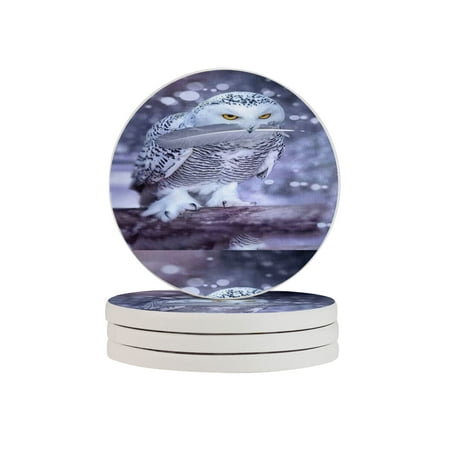 Circular Drink Coasters Set Owl Beautiful Home Decor Diatomite Heat-Resistant Diatomite Protect Table Countertop
Circular Drink Coasters Set Owl Beautiful Home Decor Diatomite Heat-Resistant Diatomite Protect Table Countertop