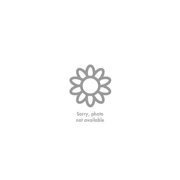 9 Perennial Grab Bag for Sun