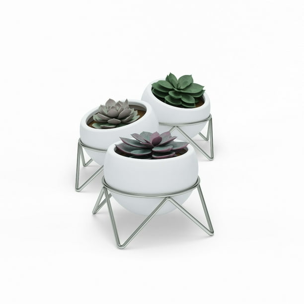 Umbra Potsy Planter, Set of 3