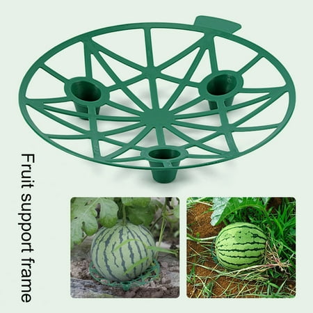 Yesbay Melon Cradle Strong Bearing Capacity Anti-corrosion Fruits Storage Cantaloupe Pumpkin Support Tray for Balcony
Yesbay Melon Cradle Strong Bearing Capacity Anti-corrosion Fruits Storage Cantaloupe Pumpkin Support Tray for Balcony