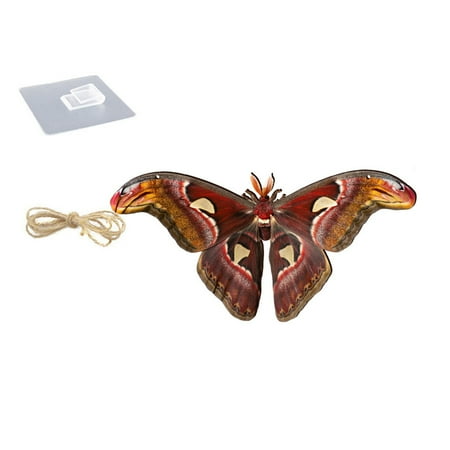 koaiezne Moth Wooden Pendant Wall Sticker Living Room Bedroom Home Decoration Wooden Sign Listing Thick String for Hanging Balls for Parties
koaiezne Moth Wooden Pendant Wall Sticker Living Room Bedroom Home Decoration Wooden Sign Listing Thick String for Hanging Balls for Parties