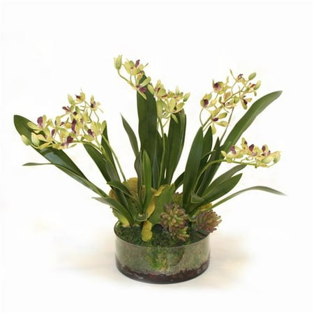 Disttive Designs 4935A Unisex Amethyst Green Vanda Orchid in Low Round Glass