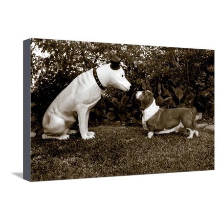 Want to Play Stretched Canvas Print Wall Art By Jim Dratfield