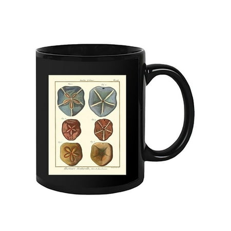 Sand Dollars I Mug - Denis Diderot Designs