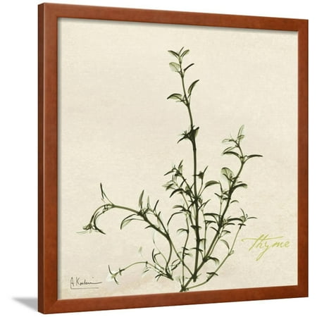 Thyme Moment Framed Print Wall Art By Albert Koetsier