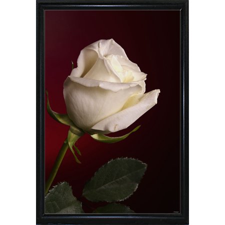 GS36_859-GORSEM144705 Print 24.5"x16.5" by Gordon Semmens in a Flat Black Metal Frame