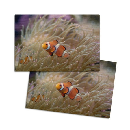 Clown Fish and White Coral (4x6 Birch Wood Postcards 2-Pack Stationary Rustic Home Wall Decor)
Clown Fish and White Coral (4x6 Birch Wood Postcards 2-Pack Stationary Rustic Home Wall Decor)