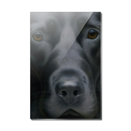 Black Labrador Retriever Dog Face Closeup Rectangle Acrylic Fridge Refrigerator Magnet
Black Labrador Retriever Dog Face Closeup Rectangle Acrylic Fridge Refrigerator Magnet