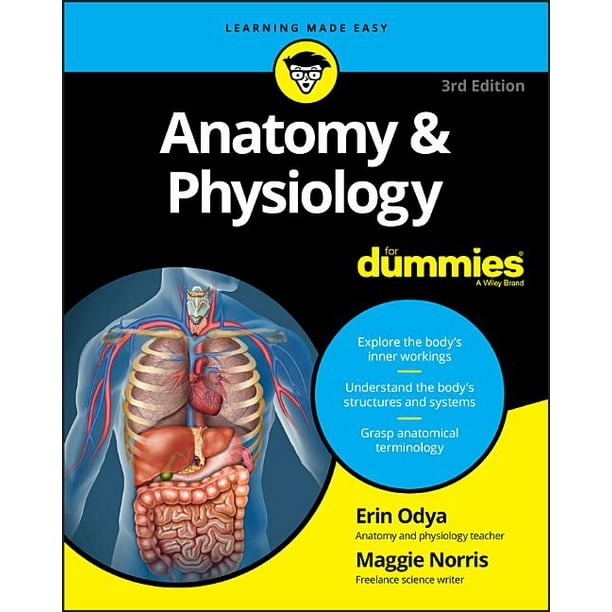 For Dummies (Lifestyle): Anatomy & Physiology for Dummies (Edition 3) (Paperback)