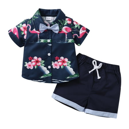 Toddler Baby Boys Outfits Short Sleeve Turn-down Collar Flamingo Print Bow Suit Top +Shorts 2Pcs Clothes Set 2-3T Blue
Toddler Baby Boys Outfits Short Sleeve Turn-down Collar Flamingo Print Bow Suit Top +Shorts 2Pcs Clothes Set 2-3T Blue