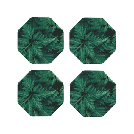 Yiaed Green Leave Fern Print Leather Coasters for Drinks - Cup Coasters Coffee Table Kitchen Table Bar Home & Office Gifts Handmade Drink Coasters-Octagon
Yiaed Green Leave Fern Print Leather Coasters for Drinks - Cup Coasters Coffee Table Kitchen Table Bar Home & Office Gifts Handmade Drink Coasters-Octagon