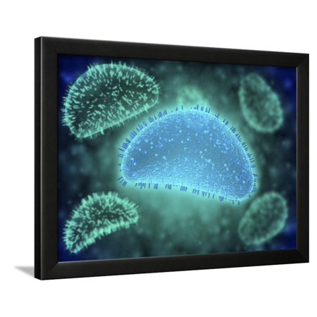 Conceptual Image of the Influenza Causing Flu Virus Framed Print Wall Art