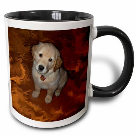 3dRose Golden Retriever Puppy Two Tone Black Mug 11oz