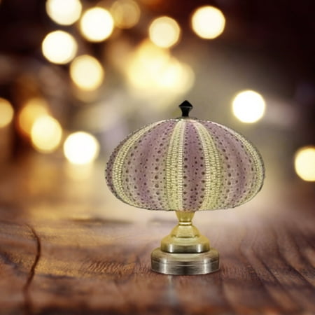 TSApan Clearance Night Lights DIY Sea Urchin Night Light Creative Beach Themed Sea Urchin Night Lamp Sea Atmosphere Lamp Nightstand Lamp Creative Led Night Light For Desktop Ornament
TSApan Clearance Night Lights DIY Sea Urchin Night Light Creative Beach Themed Sea Urchin Night Lamp Sea Atmosphere Lamp Nightstand Lamp Creative Led Night Light For Desktop Ornament