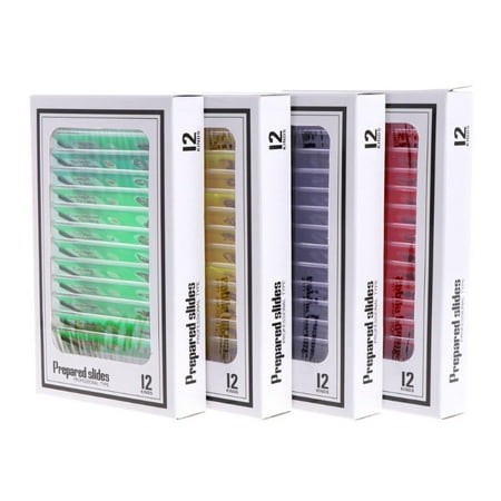 48 Pcs Prepared Microscope Slides Specimen Animals Insects Plants Flowers Sample
48 Pcs Prepared Microscope Slides Specimen Animals Insects Plants Flowers Sample