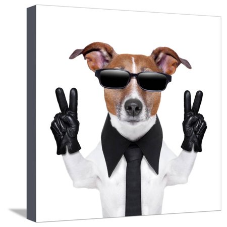 Cool Dog Stretched Canvas Print Wall Art By Javier Brosch
