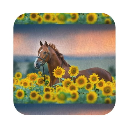 Coaee Horse Sunflowers Print Leather Coasters Set of 6 Non-Slip Washable Cup Coasters for Home Office Bar Square
Coaee Horse Sunflowers Print Leather Coasters Set of 6 Non-Slip Washable Cup Coasters for Home Office Bar Square
