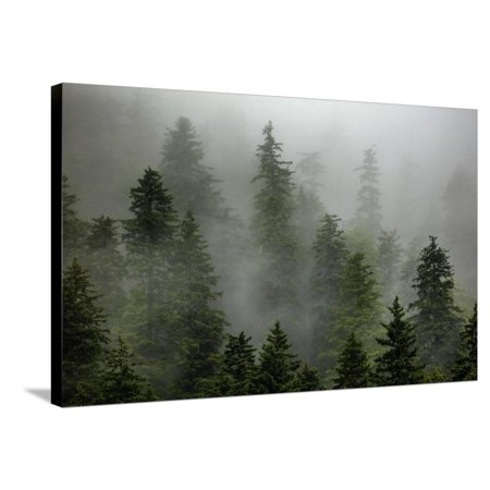 Alaska Stretched Canvas Print Wall Art By Art Wolfe