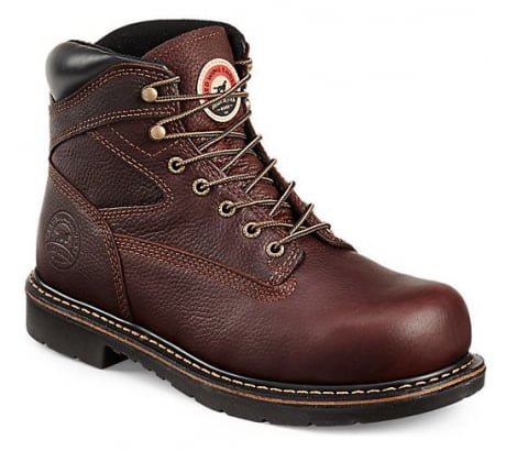 irish setter 83610