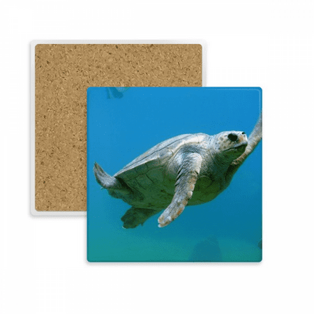 Marine Organism Turtle Ocean Animal Square Coaster Cup Mat Mug Subplate Holder Insulation Stone
Marine Organism Turtle Ocean Animal Square Coaster Cup Mat Mug Subplate Holder Insulation Stone