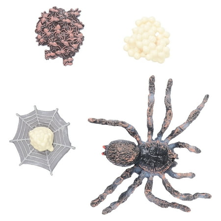1 Set Simulated Plastic Animal Models Eco-friendly Life Growth Cycle Toys Set