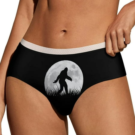 Womens Panties Soft Lace Briefs Panty Bikini Underwear Sexy Underpants