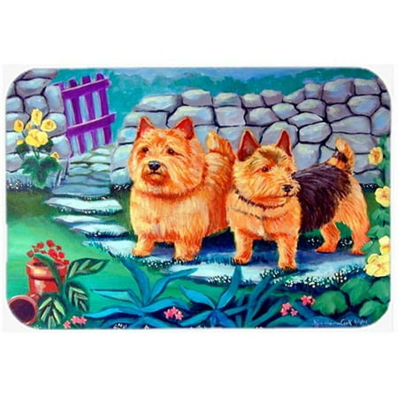 Norwich Terrier Glass Cutting Board - Large