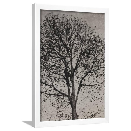 Campagna Di Guerra 1915-1916-1917-1918: Soldier on a Tree Framed Print Wall Art