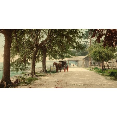 Alabama Mobile C1901 Na Horse And Carriage On Bay Shell Road Mobile Alabama Photochrome C1901 Poster Print by Granger Collection