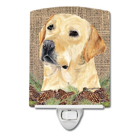 Caroline s Treasures SC9049CNL Labrador Faux Burlap and Pine cones Ceramic Night Light 6x4x3 multicolor
Caroline s Treasures SC9049CNL Labrador Faux Burlap and Pine cones Ceramic Night Light 6x4x3 multicolor
