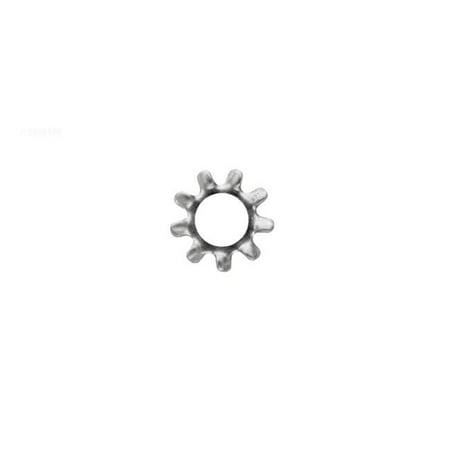 Lock Washer Pentair Sta-Rite LT #10