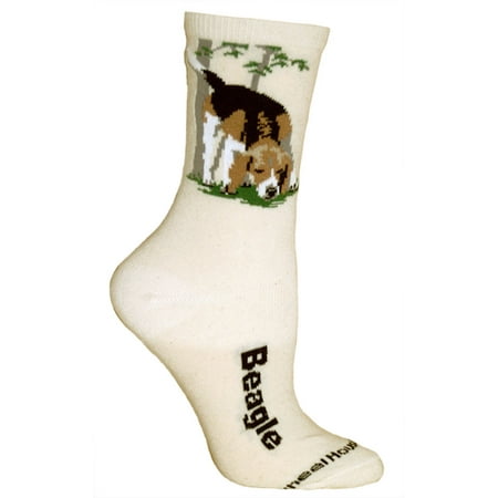 Beagle Natural Large Cotton Socks