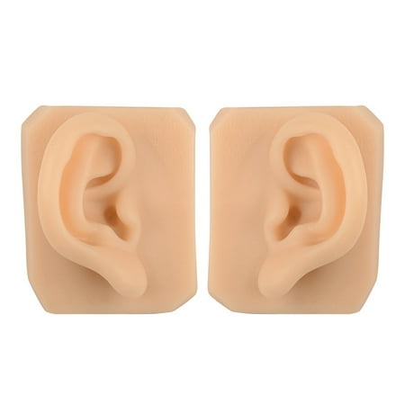 1 Pair Human Facial Features Ears Model Suturing Training Pad for Teaching Education Display
1 Pair Human Facial Features Ears Model Suturing Training Pad for Teaching Education Display