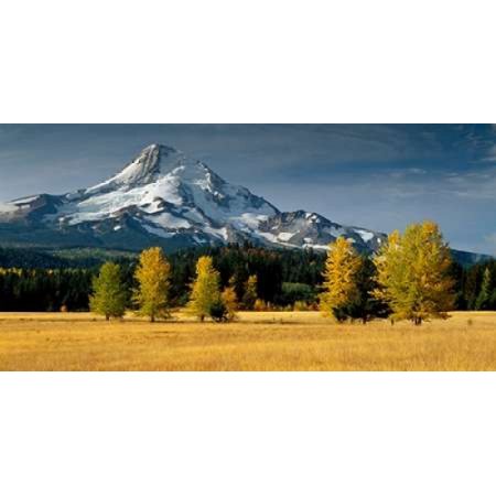 Mt Hood IX Stretched Canvas - Ike Leahy (24 x 48)