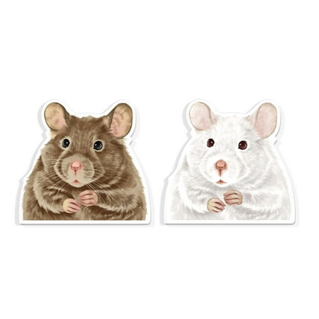 WIRESTER 2pcs Set Acrylic Fridge Refrigerator Magnet for Home Office Classroom Acrylic Magnets to Stick on Computer Fridge Dryer Lockers - Gerbil Grey Rat
WIRESTER 2pcs Set Acrylic Fridge Refrigerator Magnet for Home Office Classroom Acrylic Magnets to Stick on Computer Fridge Dryer Lockers - Gerbil Grey Rat