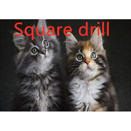 Livesture Cute Cat Diamond Drawing In Living Room And BedroomCute Cat Diamond Drawing In Living Room And Bedroom Square drill 60x60cm
Livesture Cute Cat Diamond Drawing In Living Room And BedroomCute Cat Diamond Drawing In Living Room And Bedroom Square drill 60x60cm