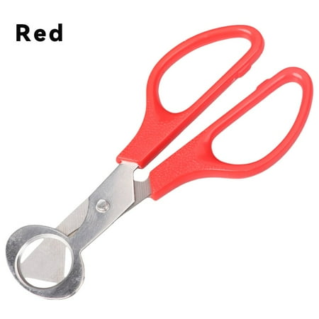 Quail Egg Scissors Bird Egg Scissors Stainless Steel Egg Cutter Egg Shell Cutter Egg Opener Kitchen Hand Tools Scissors
Quail Egg Scissors Bird Egg Scissors Stainless Steel Egg Cutter Egg Shell Cutter Egg Opener Kitchen Hand Tools Scissors