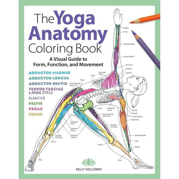 The Yoga Anatomy Coloring Book: The Yoga Anatomy Coloring Book, Volume 1 (Paperback)