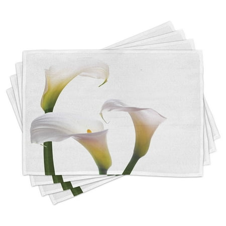 Ambesonne Flower Place Mats Set of 4 Calla Lilies Romantic Standard Size Green White Yellow
Ambesonne Flower Place Mats Set of 4 Calla Lilies Romantic Standard Size Green White Yellow