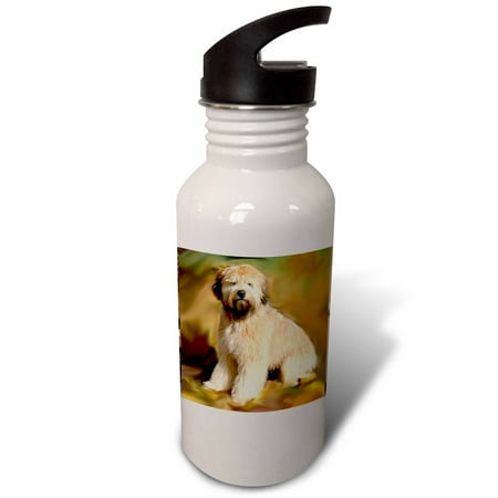 Soft Coated Wheaten Terrier 21 oz Sports Water Bottle wb-4256-1